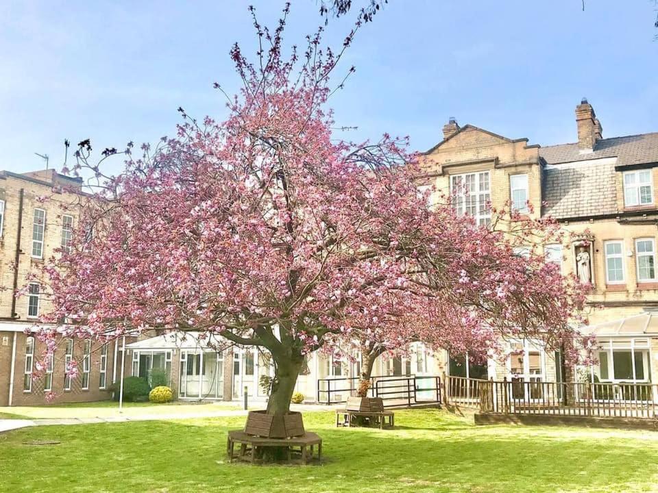 Endsleigh Park Hotel Kingston upon Hull Eksteriør billede